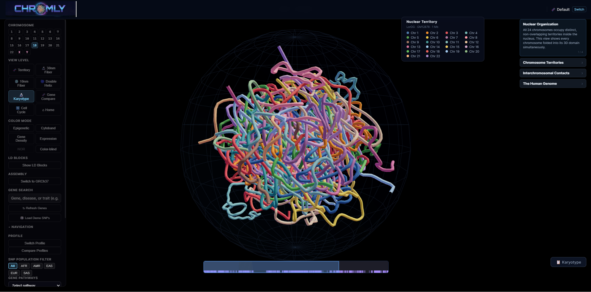 All 24 chromosomes in nuclear territory view